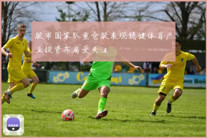 股市国家队重仓股表现稳健体育产业投资布局受关注