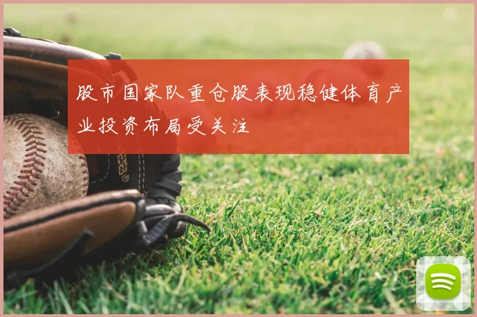 股市国家队重仓股表现稳健体育产业投资布局受关注