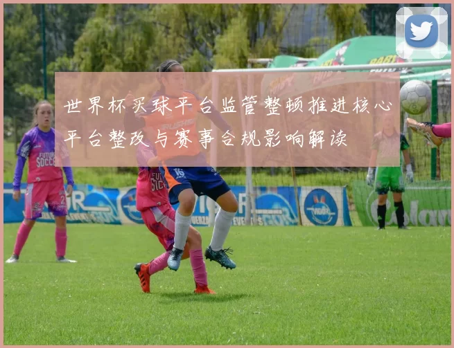 世界杯买球平台监管整顿推进核心平台整改与赛事合规影响解读