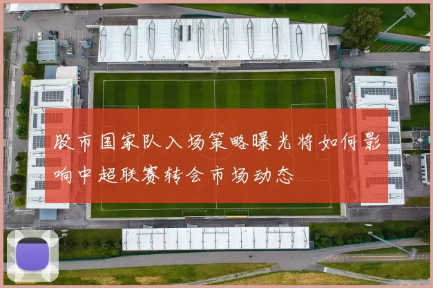 股市国家队入场策略曝光将如何影响中超联赛转会市场动态