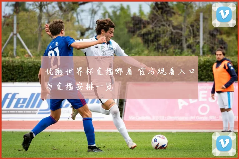 优酷世界杯直播哪看 官方观看入口与直播安排一览