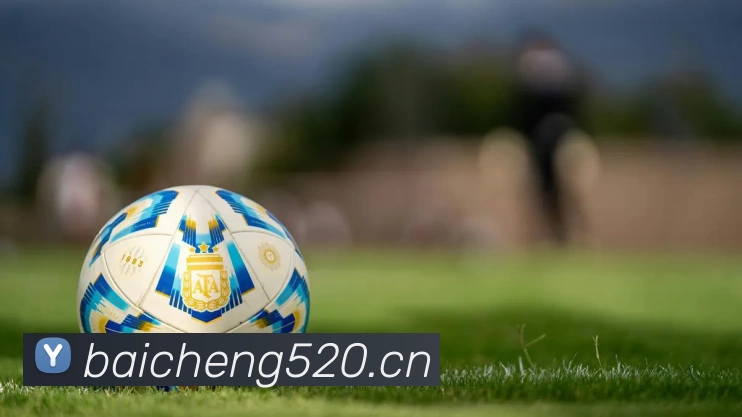 大阳城登录77139·官方网站服务体系