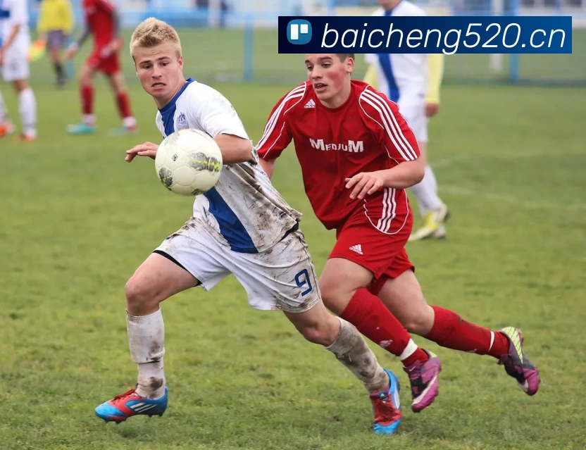 多媒体互动体验